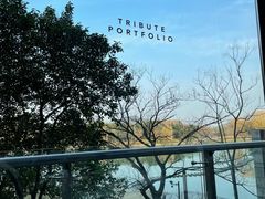 -上海佘山世茂艾美酒店