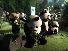 -成都泰迪熊博物馆
