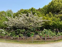 -江南大学(蠡湖校区)