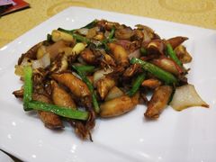 烧汁鱿鱼圈-瑞记湛江鸡饭店·粤西第一鸡(粤垦店)