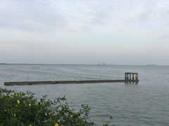 -贡湖湾湿地公园