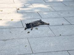 -广州兰圃