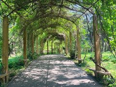 -沈阳植物园