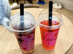 -Let's go狗咖·猫咖·奶狗·桌游(春熙路IFS店)