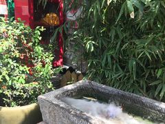 -顺承小院儿