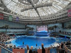 -海合安成都极地海洋公园