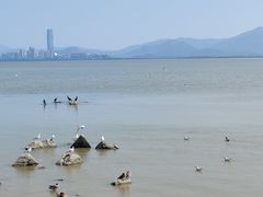 -深圳湾公园(南山区)