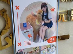 -怪兽屋·羊驼·猫咖·狗咖(俊华广场店)