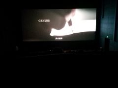 -奥斯卡升龙国际影城(RealD Cinema)