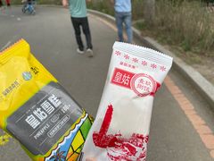-丁香湖公园