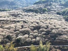 -福建天门山