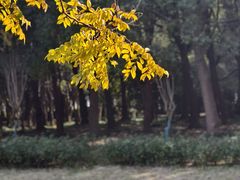 -嘉北郊野公园