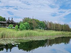 -苏州太湖湖滨国家湿地公园