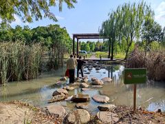 -上海浦江郊野公园-5号停车场