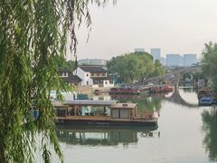 -鑫震源·苏式大虾生煎(山塘街店)