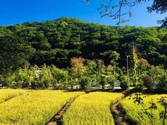 -参仙谷生态旅游度假区