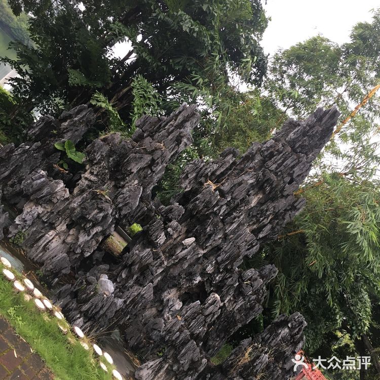 遛狗遛娃的好去处