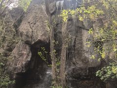 -天目湖山水园