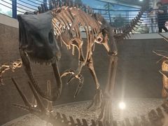 -国家自然博物馆