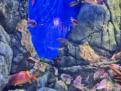 -成都浩海立方海洋公园