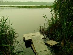 -永定河休闲森林公园