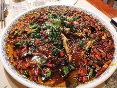杨记招牌鱼-杨记隆府(时代天街店)