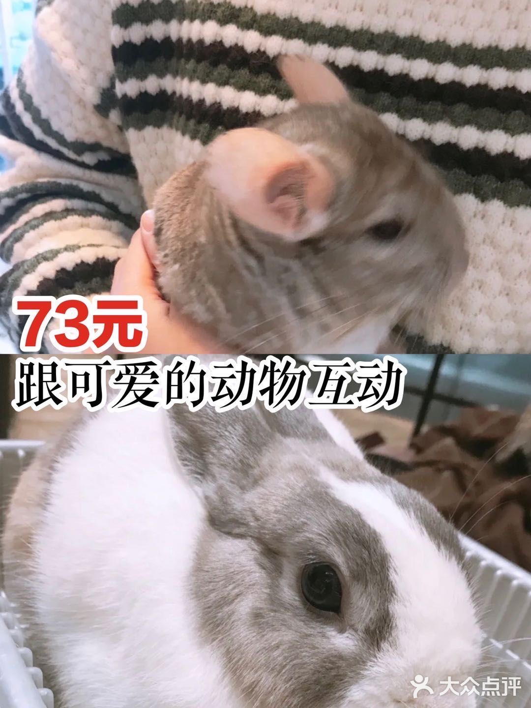 73元跟可爱的动物[呲牙]