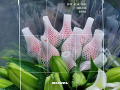 -循礼门鲜花花市(武汉循礼门店)