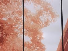 -京味斋·烤鸭·北京菜(安贞店)