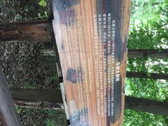 乌镇大剧院-乌镇大剧院