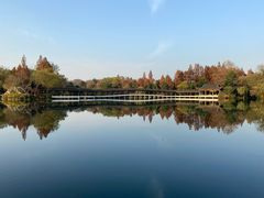 -杭州花家山庄