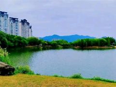 -飞来湖湿地公园