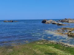 -养马岛旅游度假区