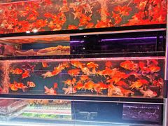 -双季花艺园艺市场(浦东店)