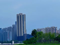 -金沙湖公园