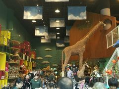 -Behring World of Animals(上海自然博物馆店)