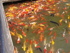 -泰安地下龙宫景区