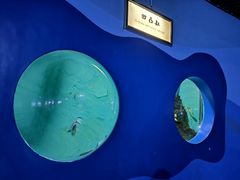 -苏州海洋馆