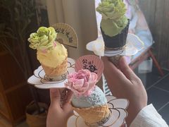 -亦家cake·0卡糖
