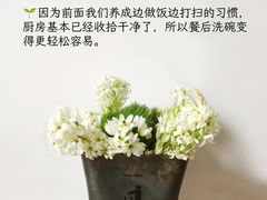 -福孕妈妈家政•月嫂育儿嫂保姆