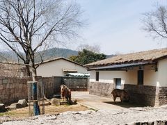 -上方山森林动物世界