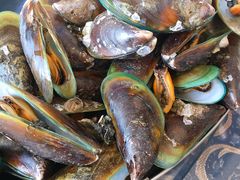 -七鲜渔港美食餐厅(巽寮湾海景店)