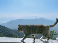-梧桐山风景名胜区