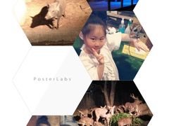 -清迈夜间动物园