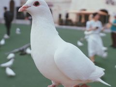 -华谊兄弟（长沙）电影小镇