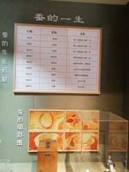 -太湖雪蚕桑文化园