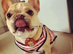 -华为授权体验店(万航渡路)