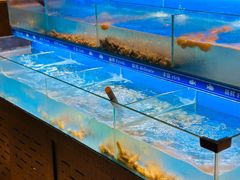 -太湖饭店玉兰厅(自助餐厅)