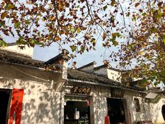 -塔川景区