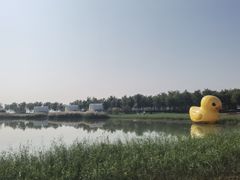 -天津东丽湖风景区